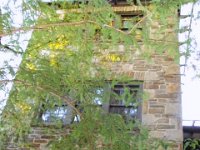 photos 2000-200902532
